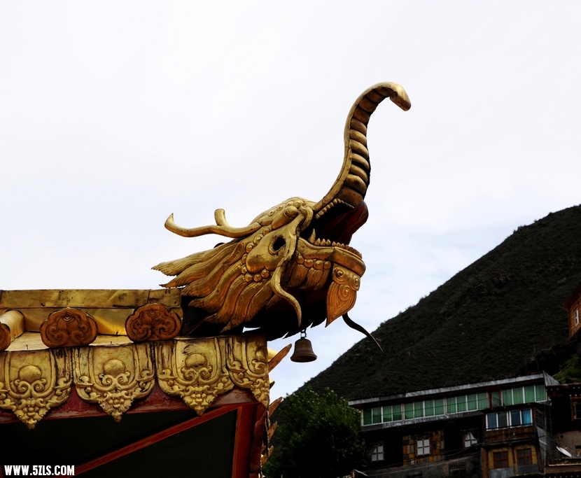 Ƭ 1244-1.jpg
