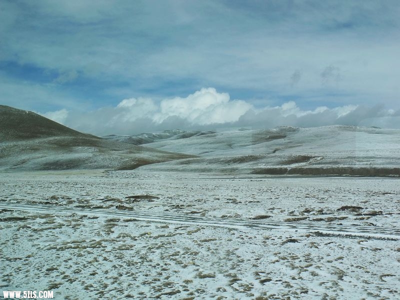 DSCF8522.jpg