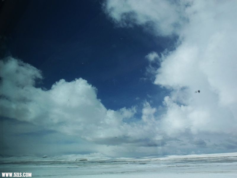 DSCF8530.jpg
