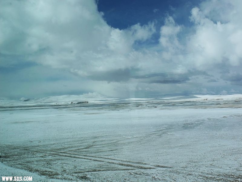 DSCF8531.jpg