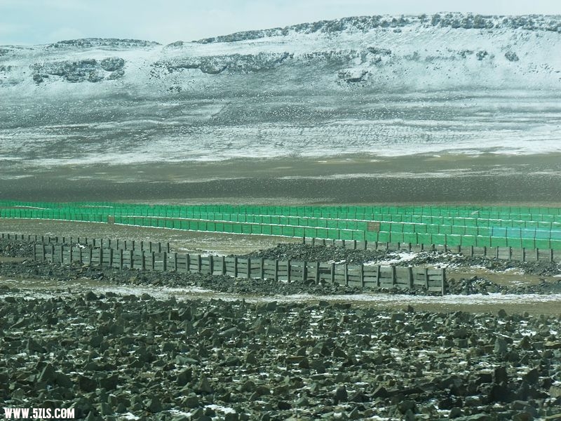 DSCF8539.jpg