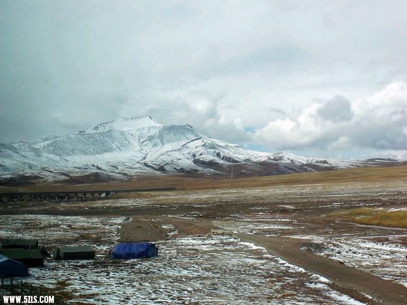 DSCF8546.jpg