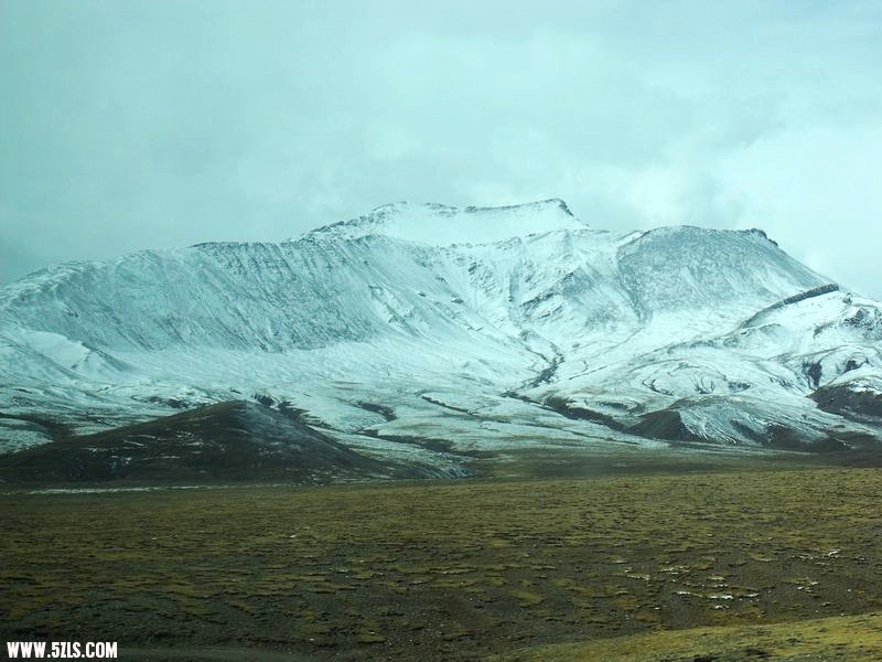 DSCF8548.jpg