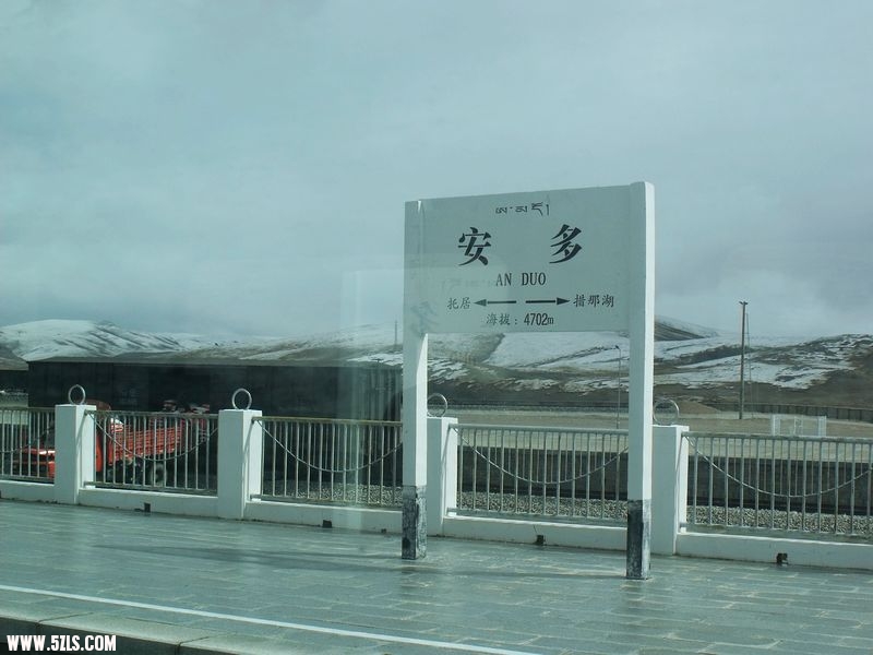 DSCF8553.jpg