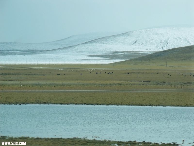 DSCF8554.jpg