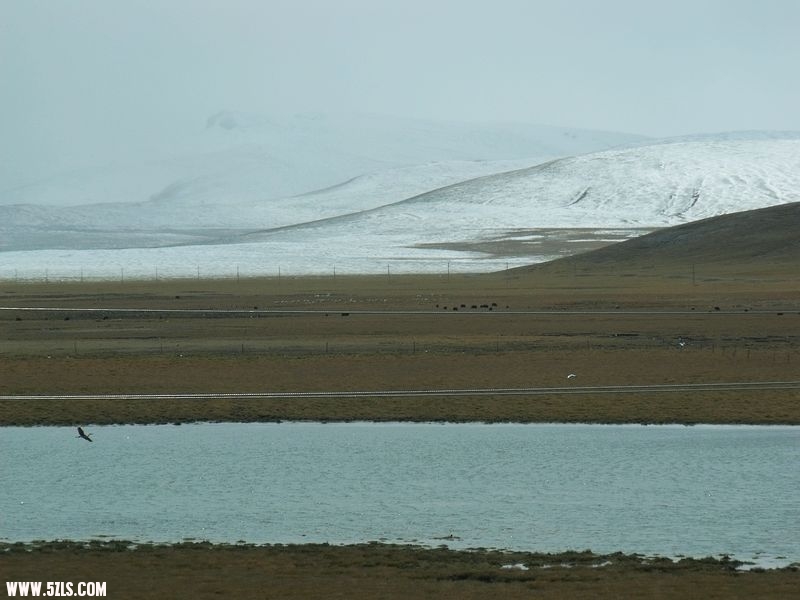 DSCF8558.jpg