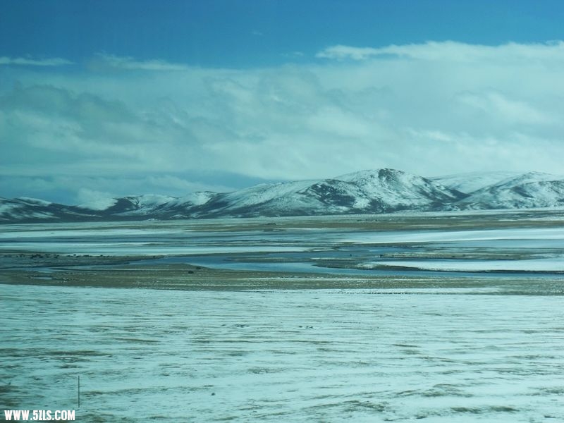 DSCF8561.jpg