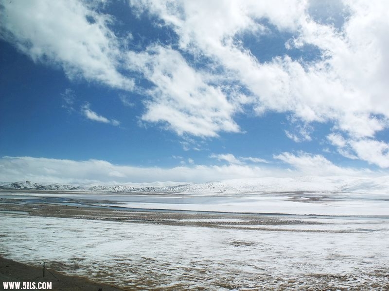 DSCF8562.jpg