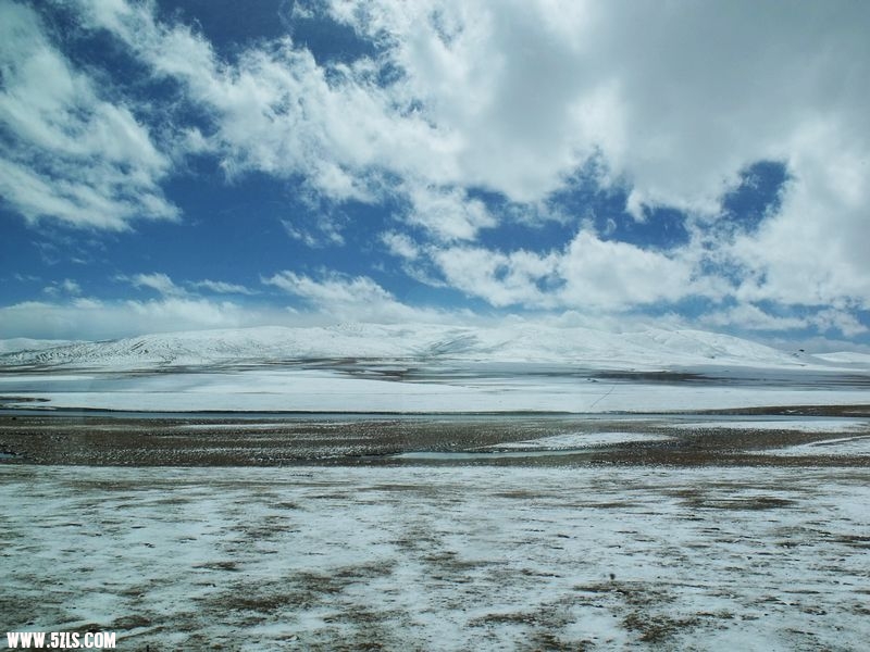 DSCF8563.jpg