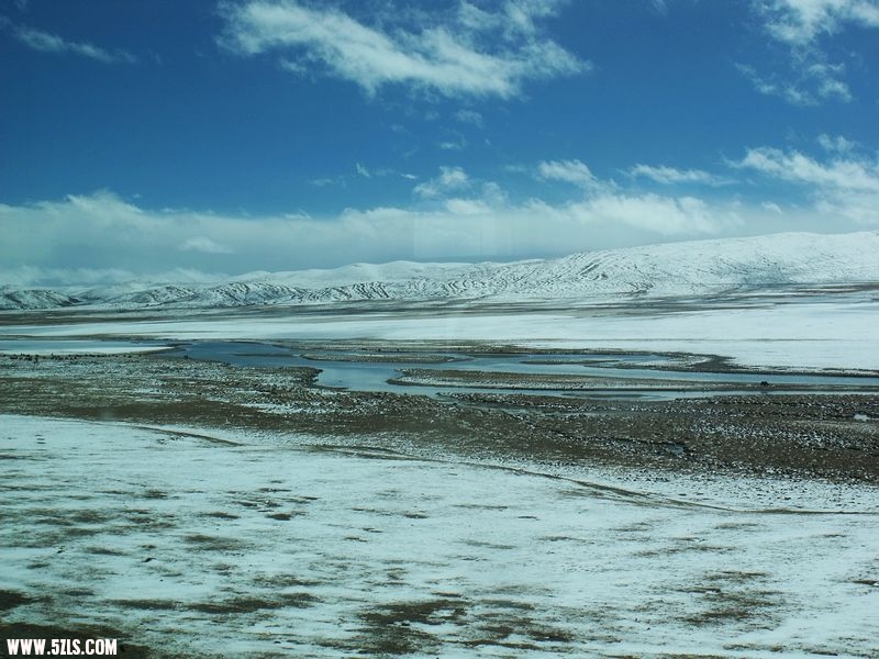 DSCF8564.jpg