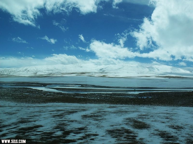 DSCF8565.jpg