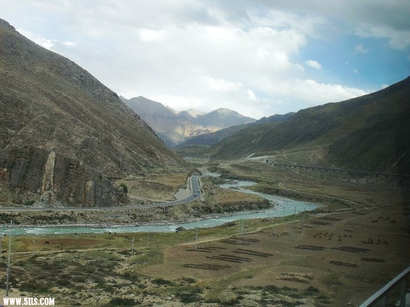 DSCF8571.jpg