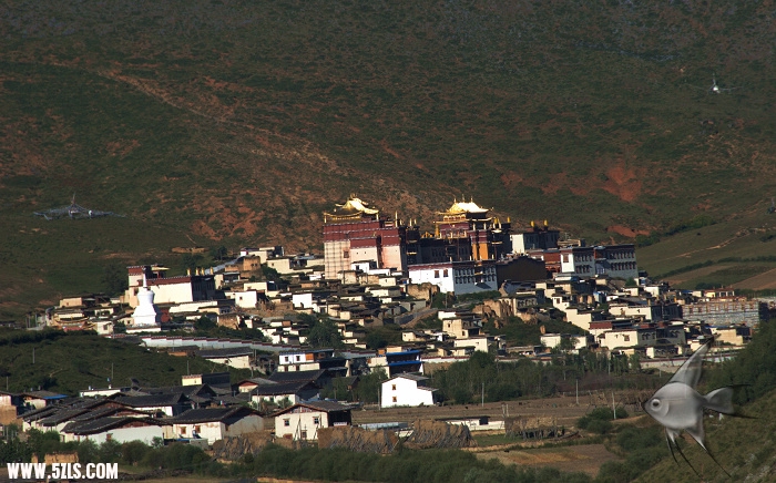 215.jpg