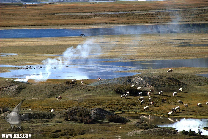 354.jpg
