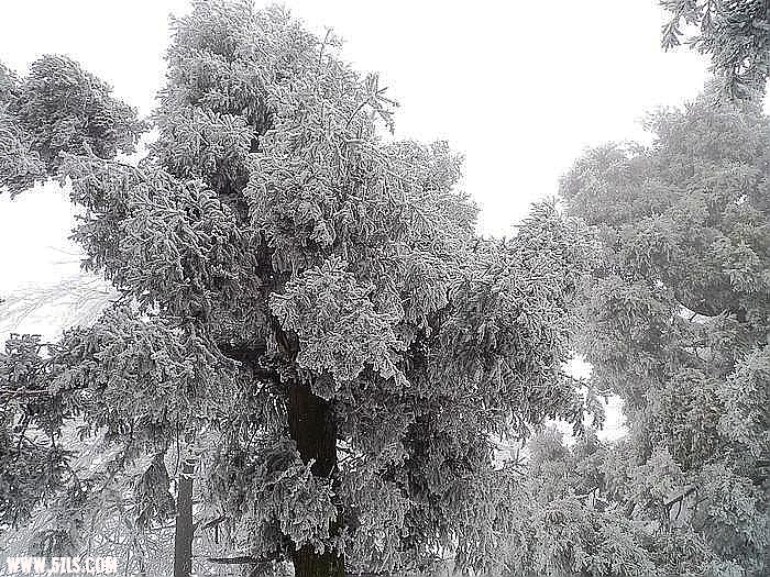 P1020061.jpg