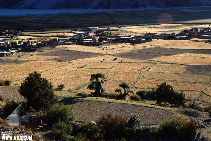 408.jpg
