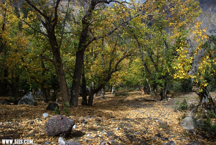 434.jpg