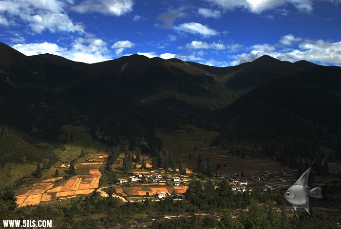 520.jpg