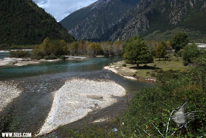 542.jpg