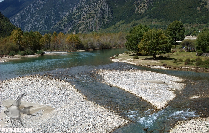 545.jpg