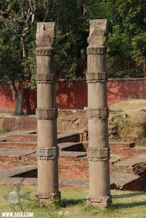 568.jpg