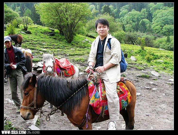 四姑娘山的马个子不高，但耐