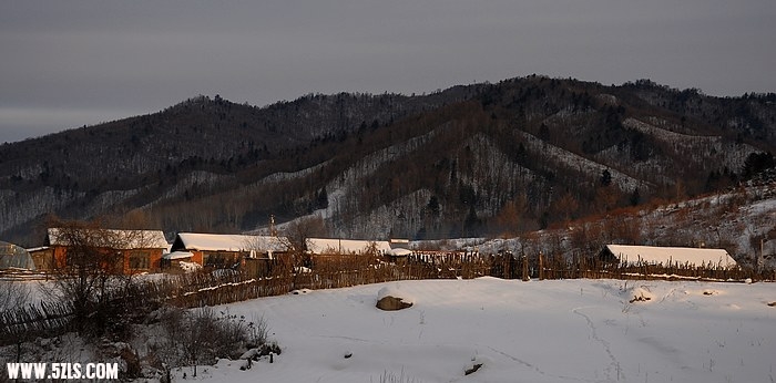 59.jpg