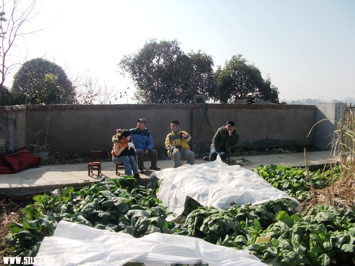 10121818224c6322aafc844c2b.jpg