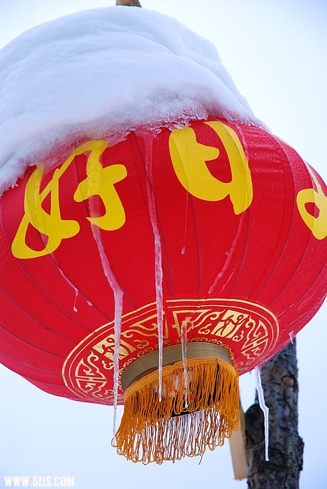 ѩ24.jpg