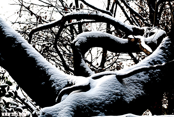 Ƭ 038.jpg
