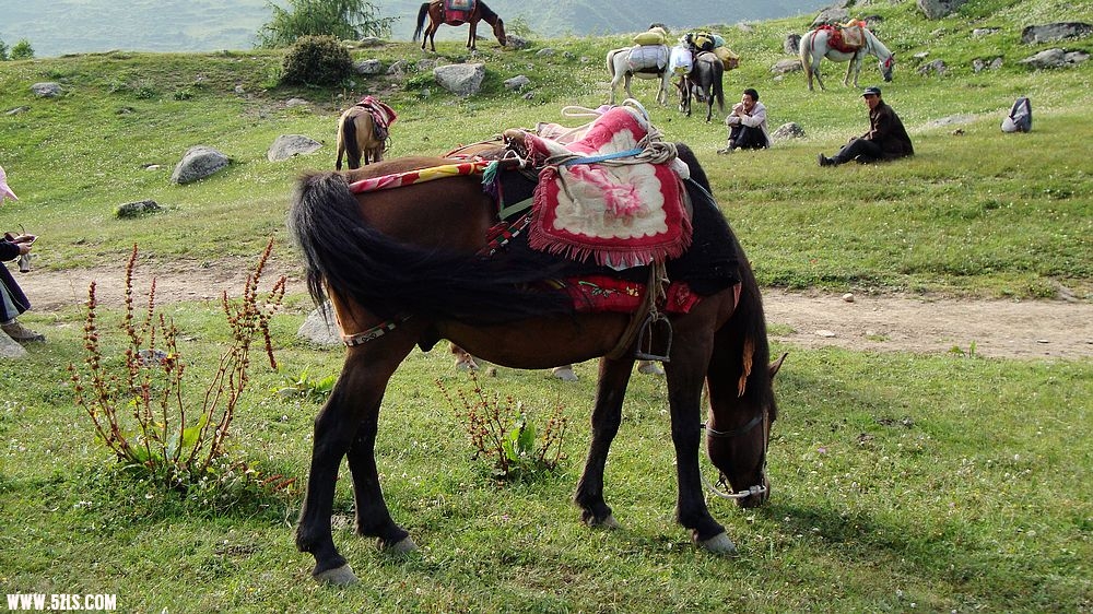 2010Ƭ 600.jpg