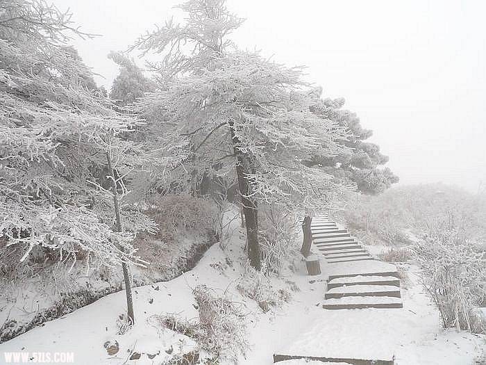 P1020124.jpg