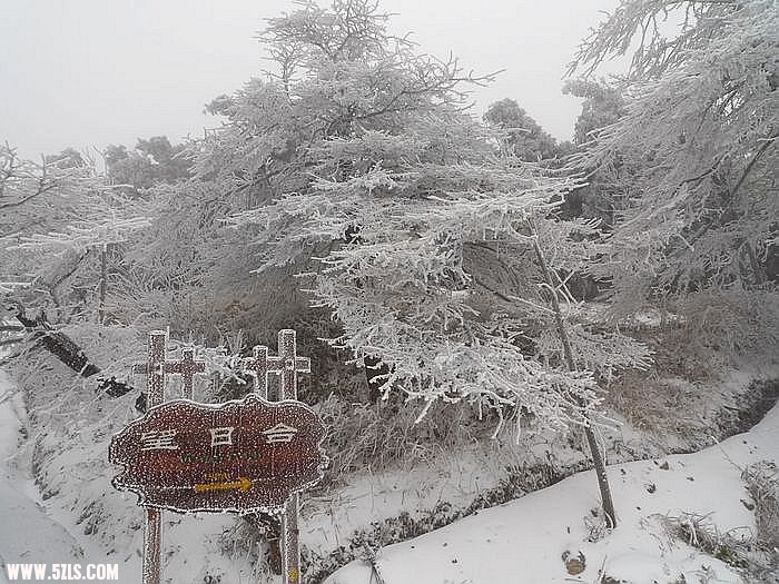 P1020125.jpg