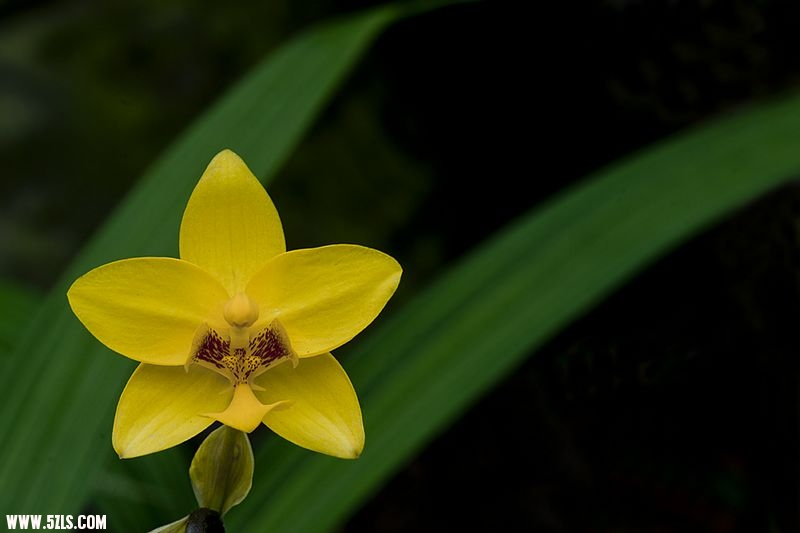 nEO_IMG__DSC2669.jpg