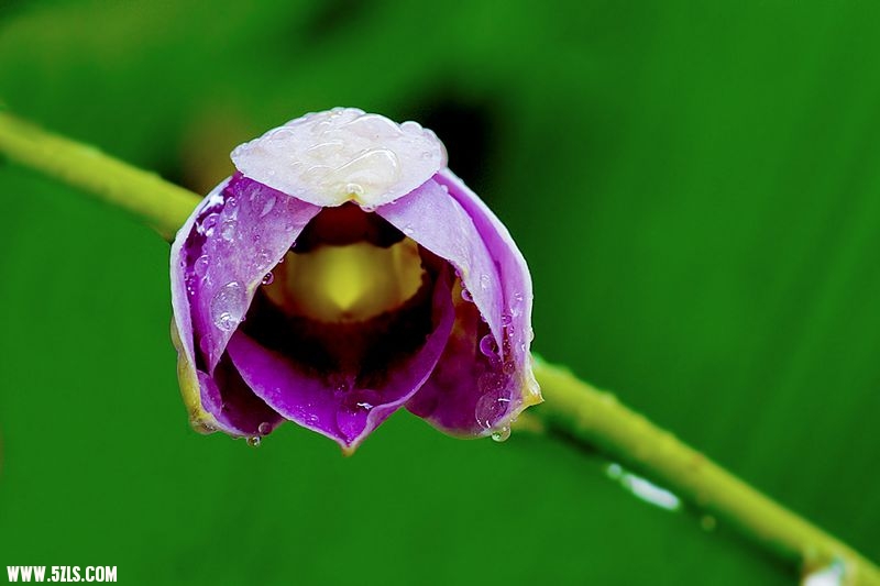 nEO_IMG__DSC2652.jpg