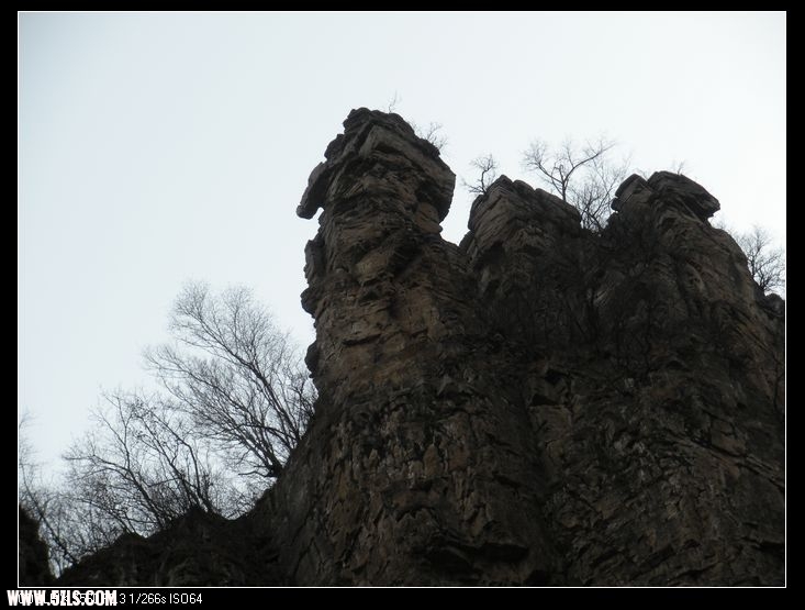 DSCN3504.jpg