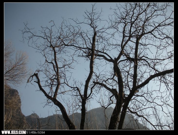 DSCN3431.jpg
