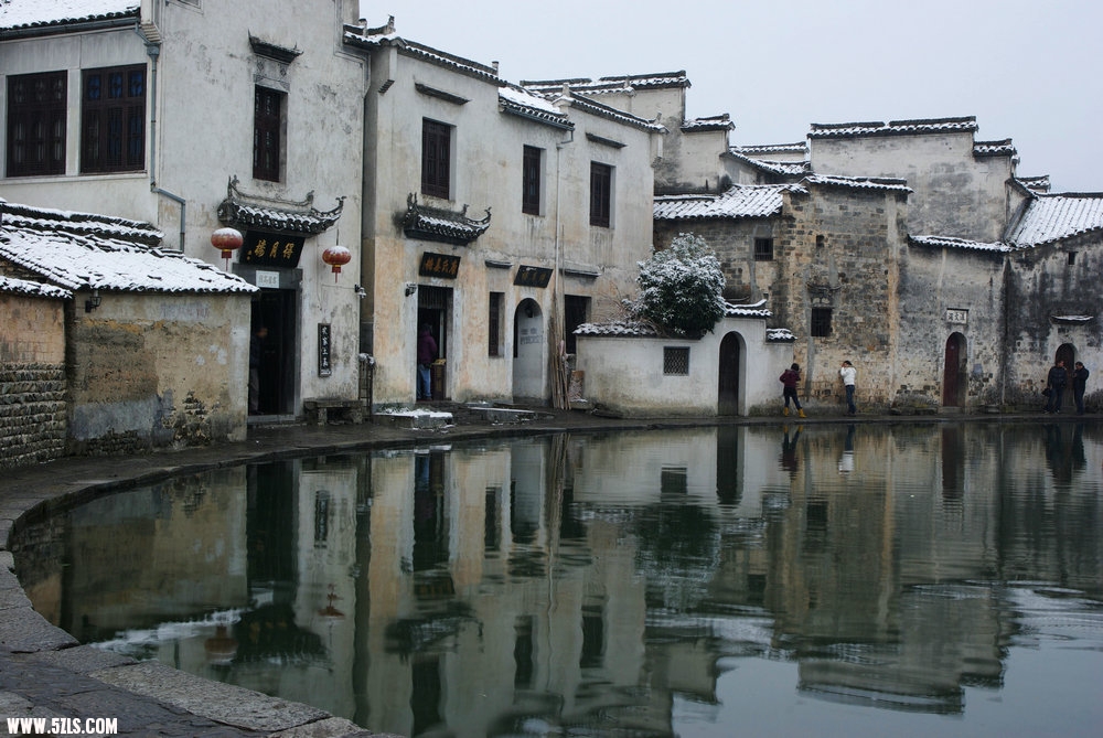 IMGP8532.jpg