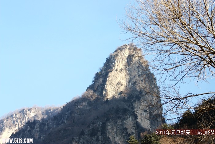 IMG_5313.jpg