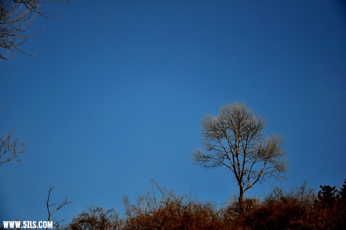 DSC_0039-1.jpg