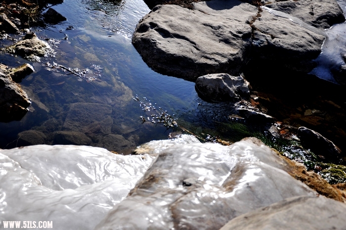DSC_0042-1.jpg