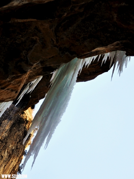 DSC_0071-1.jpg
