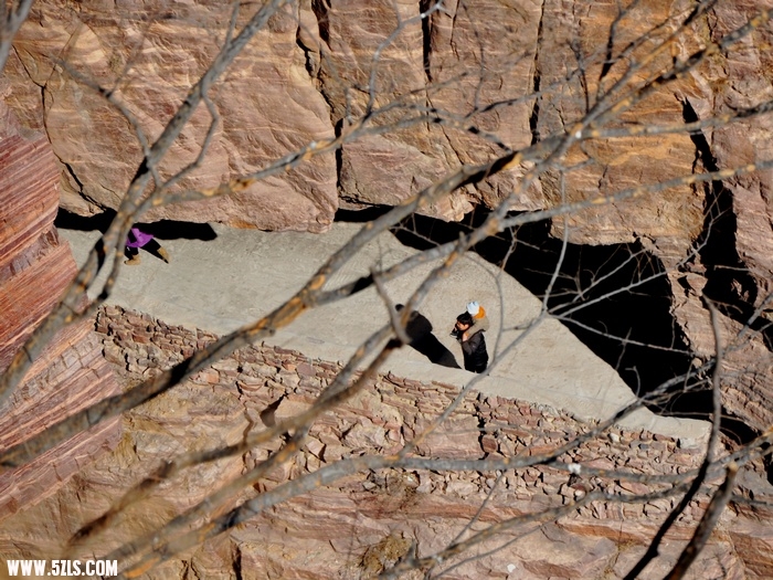 DSC_0095-1.jpg