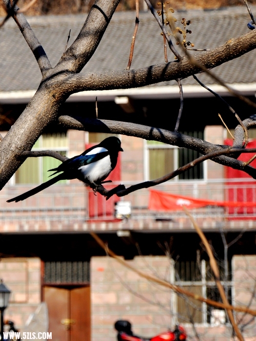 DSC_0097-1.jpg