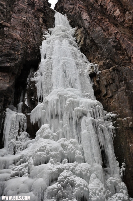 DSC_0140-1.jpg