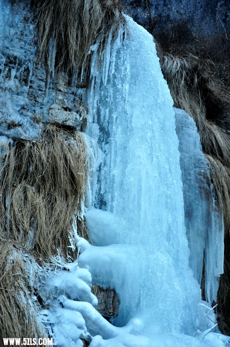 DSC_0205-1.jpg