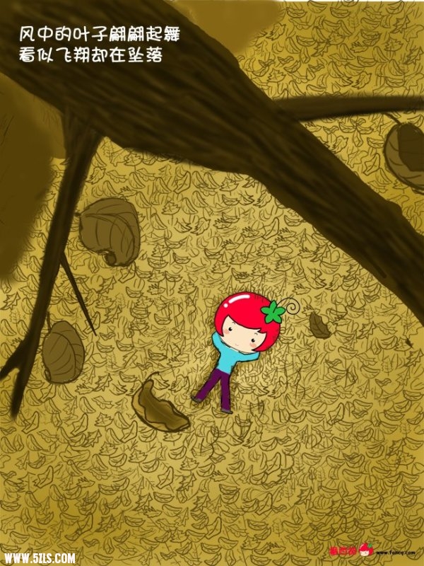 24.jpg