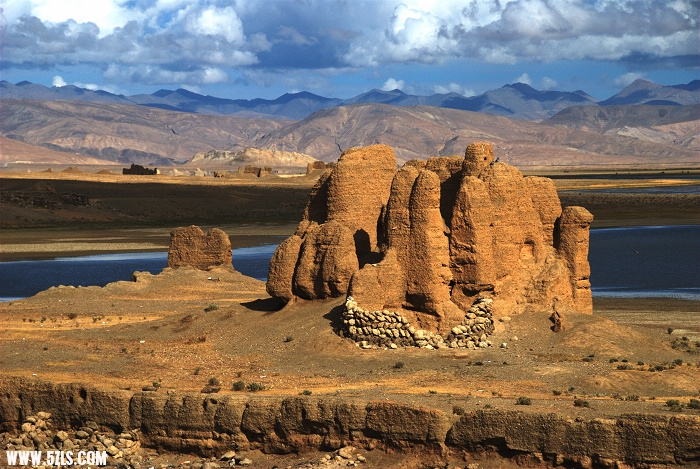 845.jpg