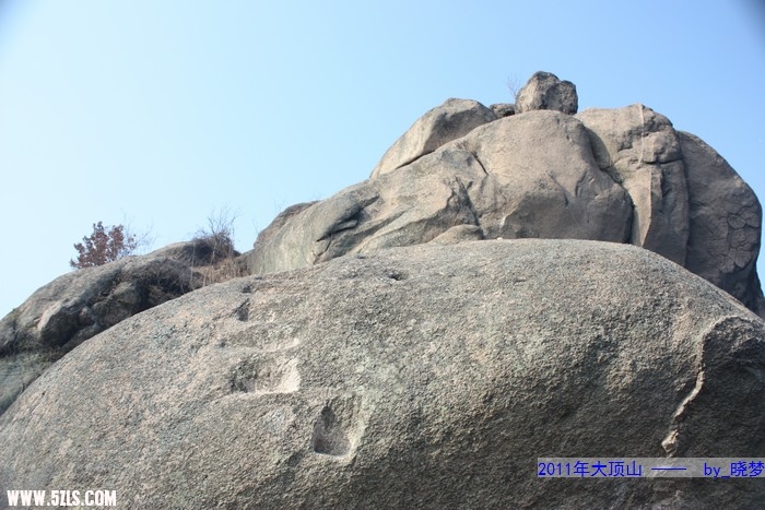IMG_5625.jpg