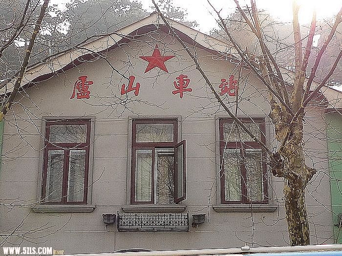 P1020553.jpg